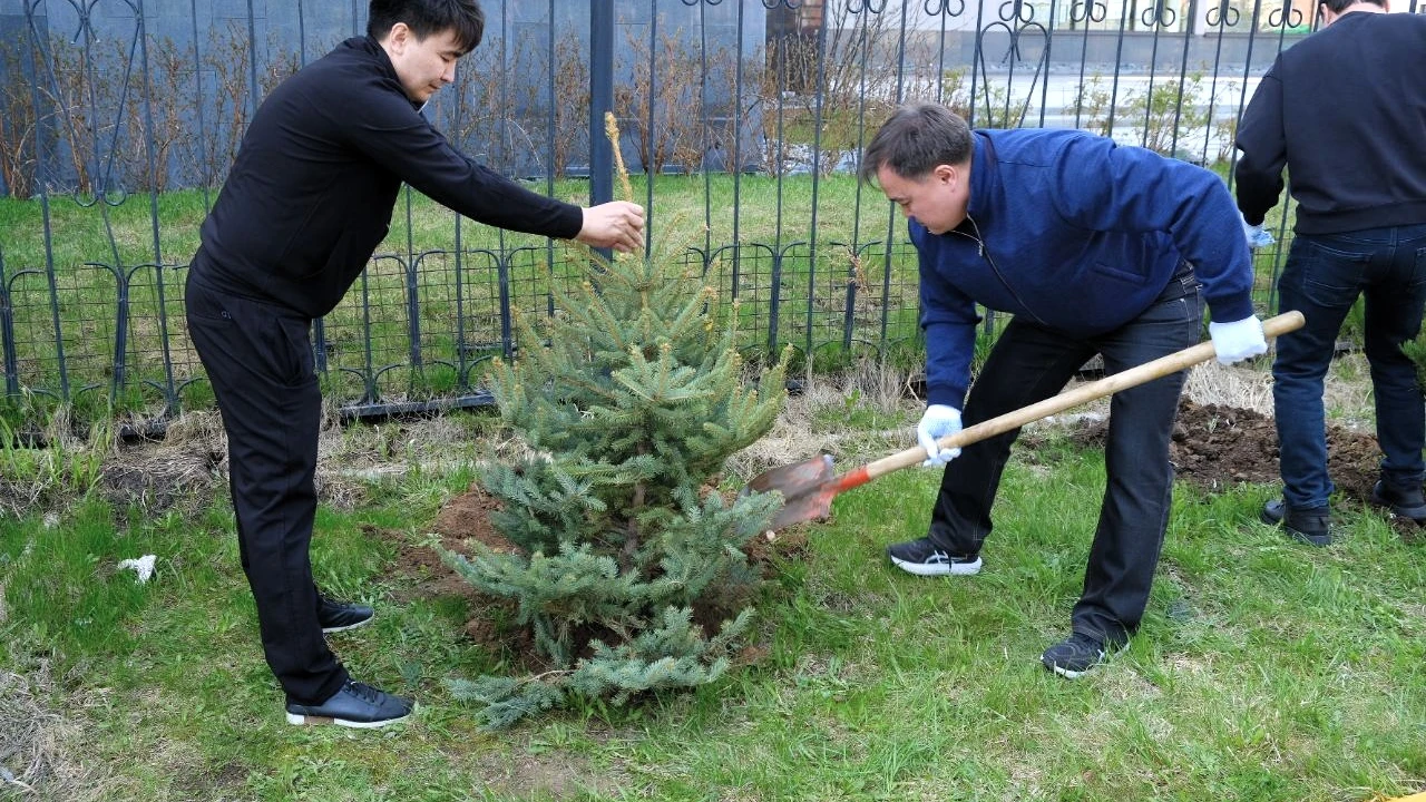 Свыше 400 работников системы Медицинского центра УДП РК приняли участие в общегородском субботнике 