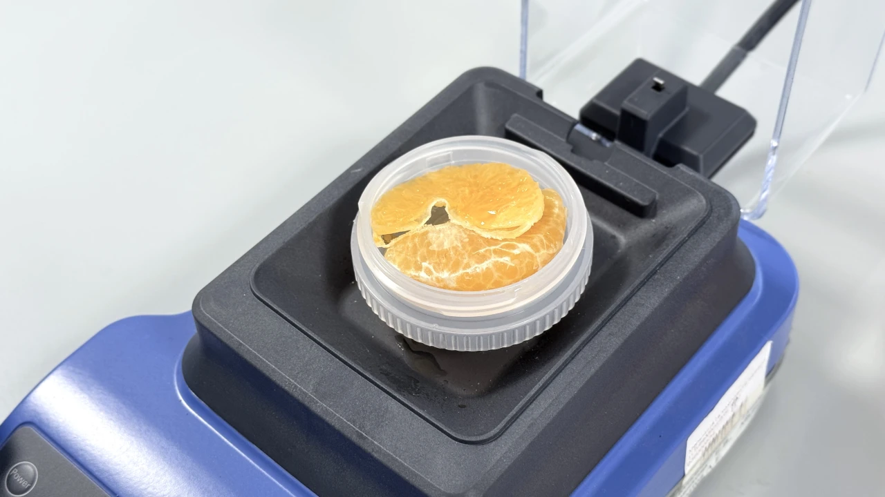 Қыс дәмі – мандарин: сапа мен қауіпсіздікті тексеру 