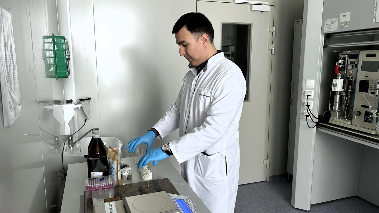 Экологическая безопасность: влияние диоксинов на здоровье человека 