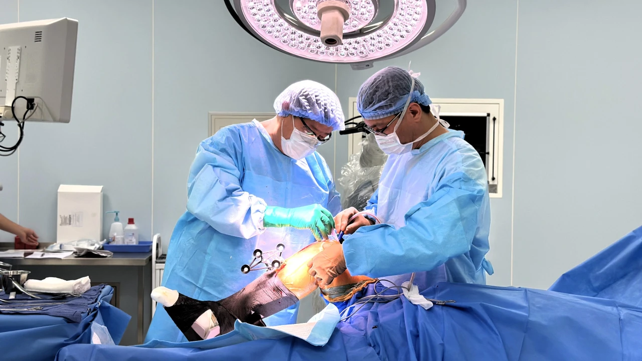 В Больнице Медицинского центра начали проводить ортопедические операции с использованием робота Mako 