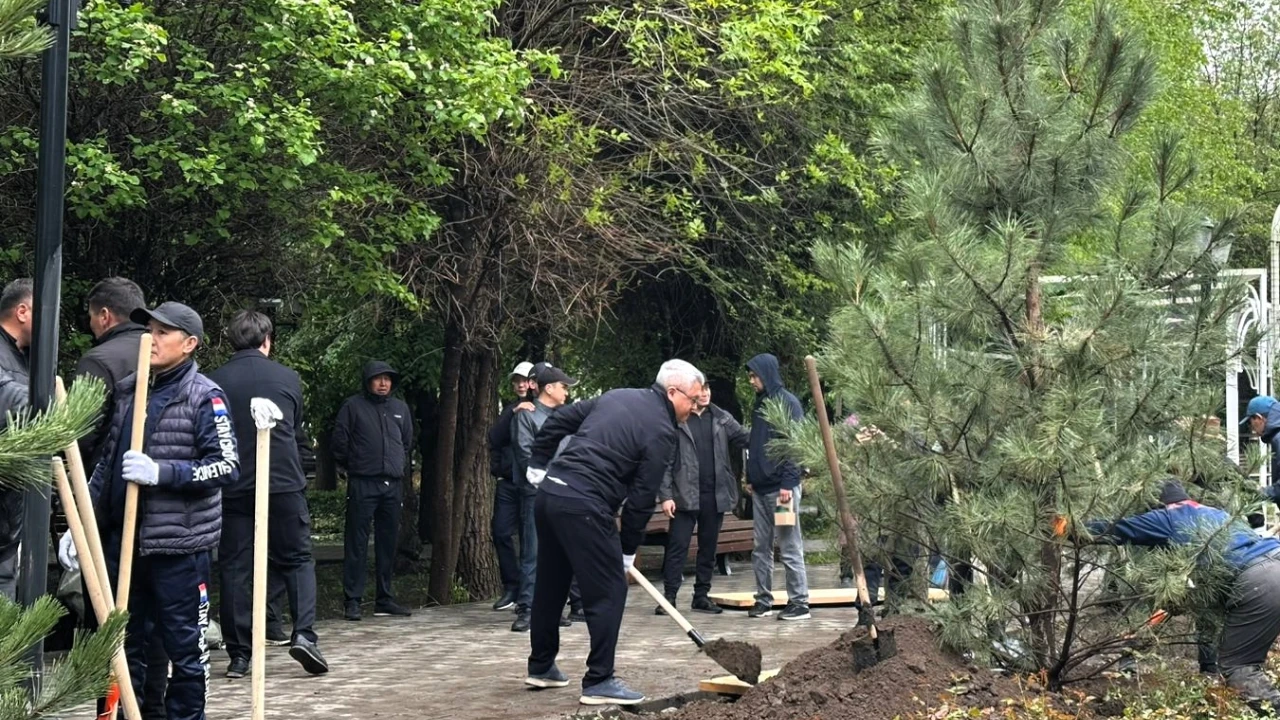 Медициналық орталық жүйесінің қызметкерлері жалпыұлттық экологиялық акцияға қосылды 