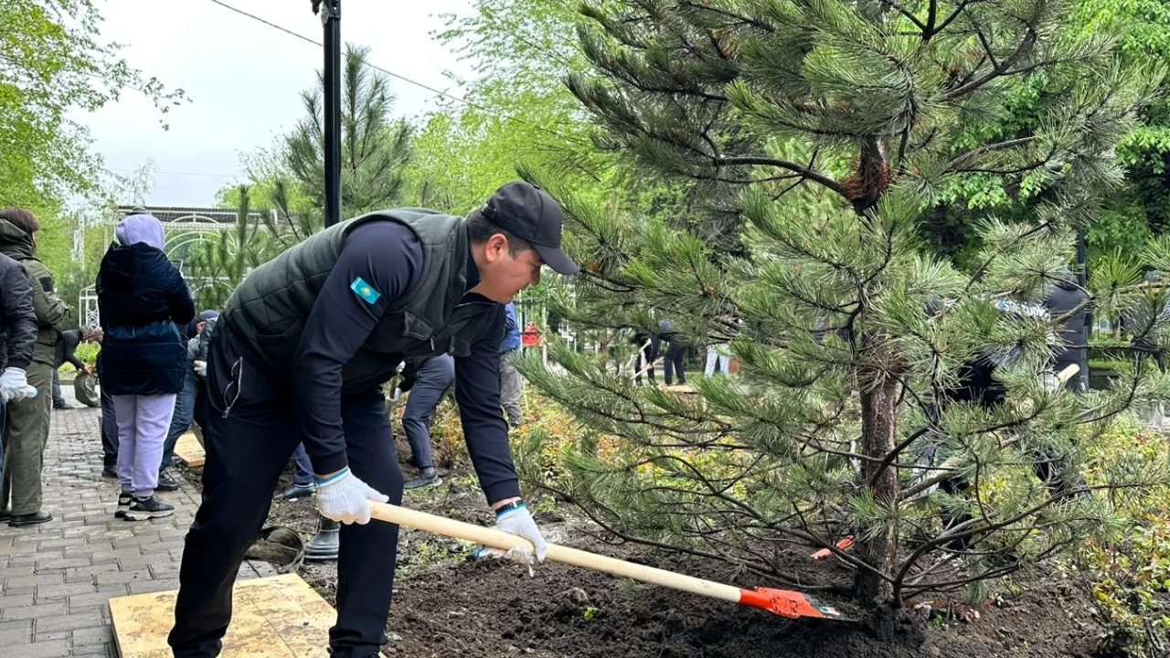 Медициналық орталық жүйесінің қызметкерлері жалпыұлттық экологиялық акцияға қосылды 