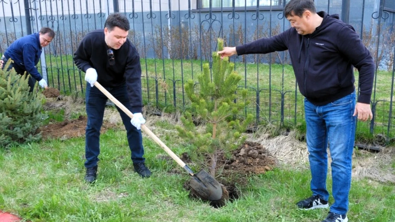 Свыше 400 работников системы Медицинского центра УДП РК приняли участие в общегородском субботнике 