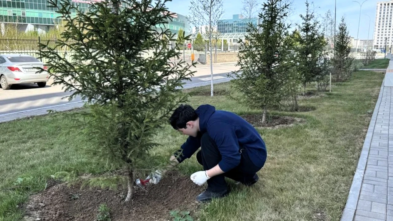 Свыше 400 работников системы Медицинского центра УДП РК приняли участие в общегородском субботнике 